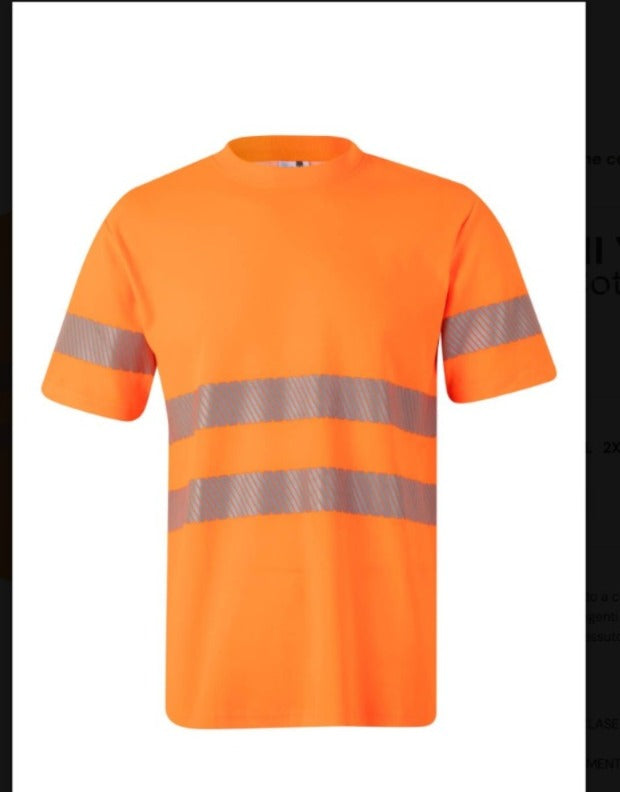 T-SHIRT COTONE M/C BANDA SEGMENTATA